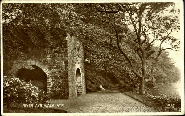 River Ayr Walk Scotland