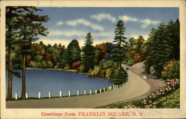 Greetings From Franklin Square New York