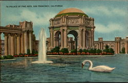 Palace Of Fine Arts Postcard