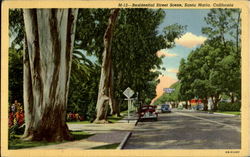 Residential Street Scene Santa Maria, CA Postcard Postcard