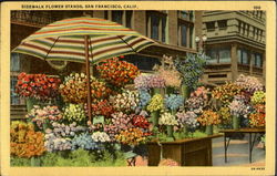 Sidewalk Flower Stands Postcard