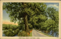 Greetings From Winthrop Winthrop Beach, MA Postcard Postcard