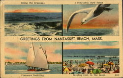 Greetings From Nantasket Beach Hull, MA Postcard Postcard