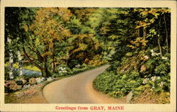 Greetings From Gray Postcard