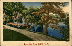 Greetings From Lodi Postcard