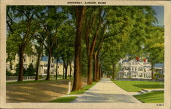 Broadway Postcard