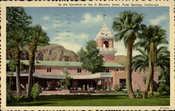 In The Gardens Of The El Mirador Hotel Postcard