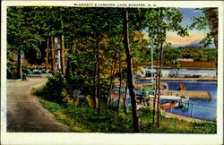 Blodgett's Landing , Lake Sunapee Postcard