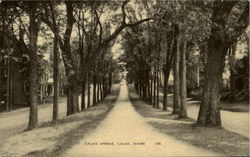 Calais Avenue Maine Postcard Postcard