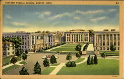 Harvard Medical School Postcard