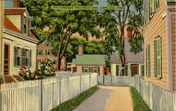 Picturesque Provincetown Postcard