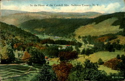 In The Heart Of The Catskill Mts Roscoe, NY Postcard Postcard