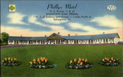 Phillips Motel, U. S. Routes 11 & 15 Selinsgrove, PA Postcard Postcard