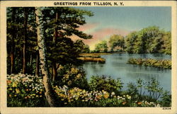 Greetings From Tillson Postcard
