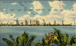 Miami Skyline From Causeway Postcard