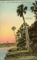 On The Anclote River Postcard