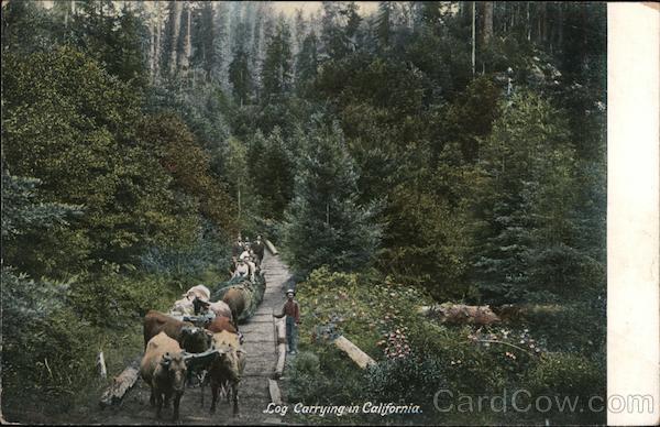 Log Carrying in California