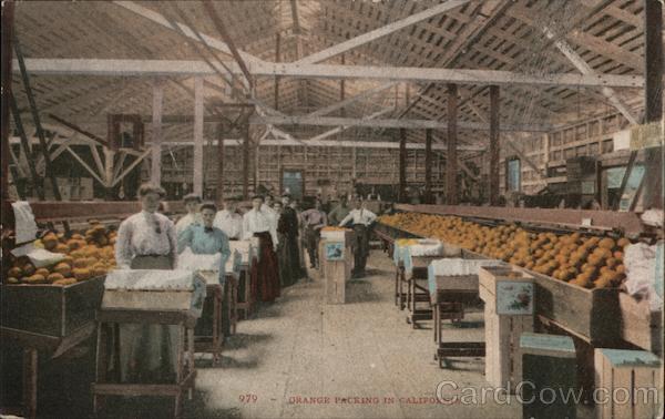Orange Packing in California
