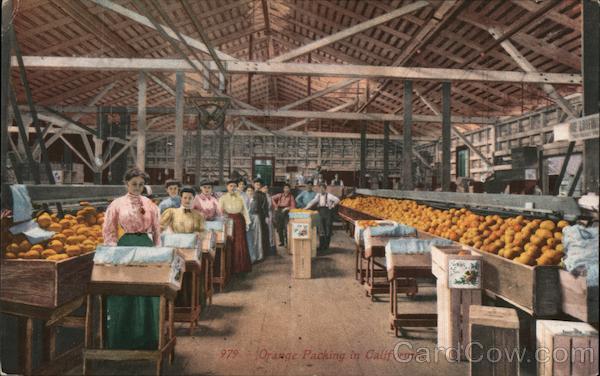 Orange Packing in California