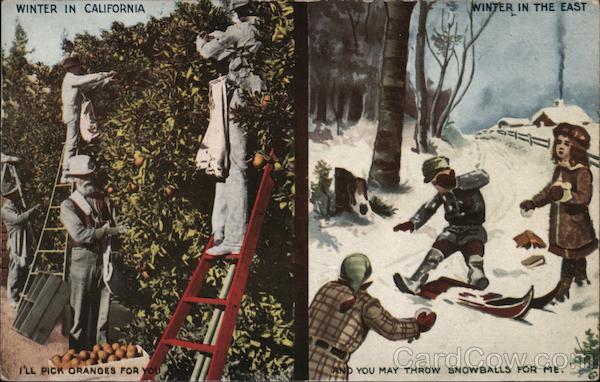 Winter in California San Francisco