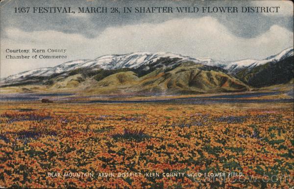 1937 Festival, March 28 in Shafter Wild Flower District California