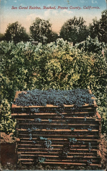 Sun Cured Raisins, Stacked, Fresno County Prize Raisin Bread Recipe California