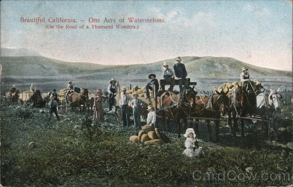 Beautiful California - One Acre of Watermelons