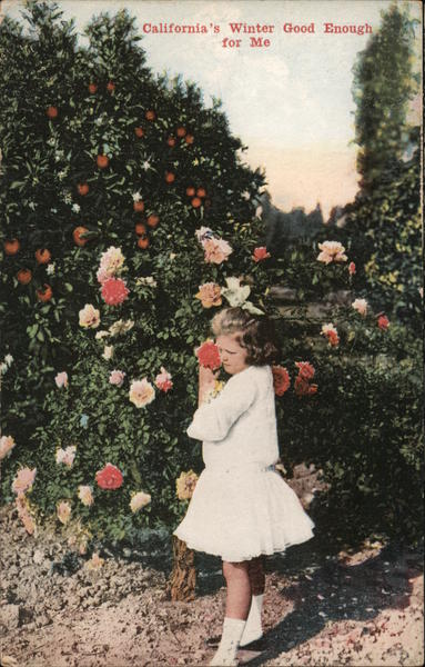 California's Winter Good Enough For Me Girl Standing by a Rose Bush