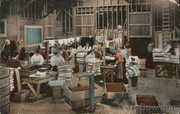 Packing Raisins in California