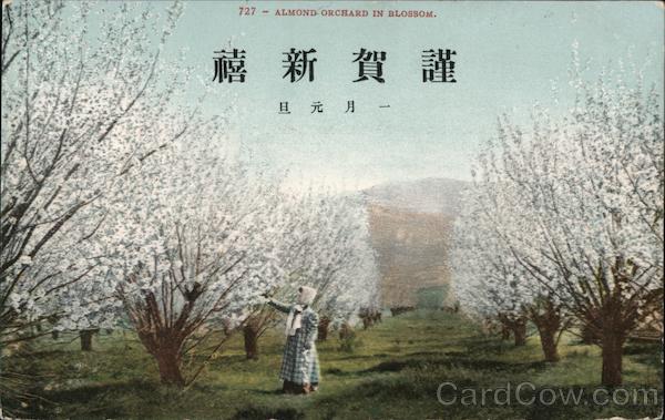 Almond Orchard in Blossom (Chinese or Japanese Writing) California