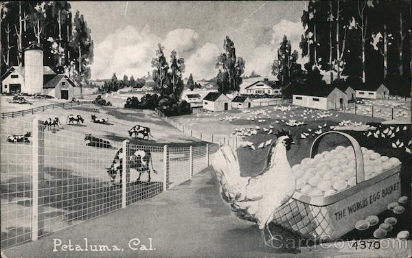 Petaluma, California