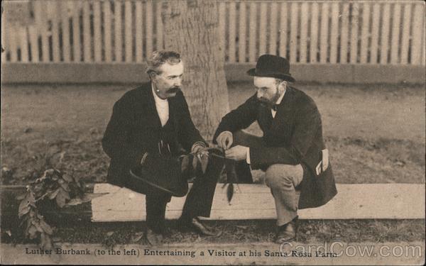 Luter Burbank Entertaining a Visitor at his Santa Rosa Farm California