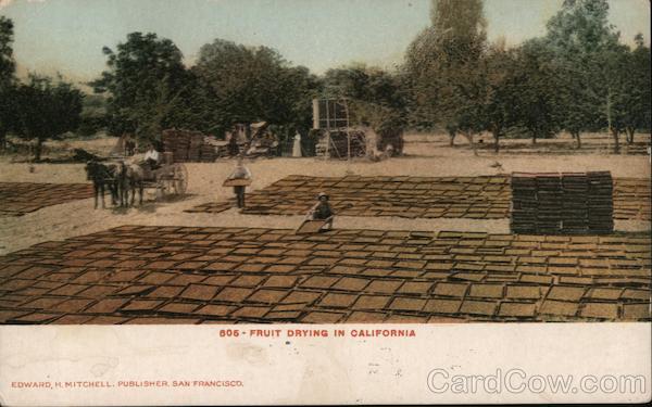 Fruit Drying in California