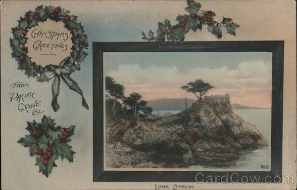 Christmas Greetings - Lone Cypress Pacific Grove California