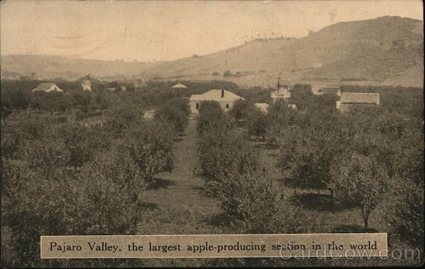 Pajaro Valley, The Largest Apple-Producing Section in the World California