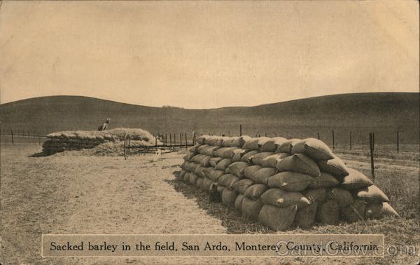Sacked barley in the field, Monterey County San Ardo California