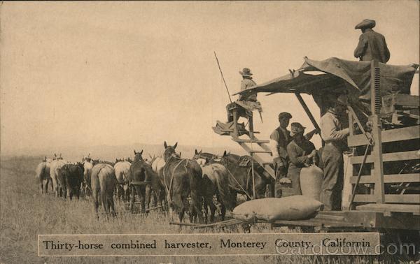 Thirty-Horse Combined Harvester Monterey California