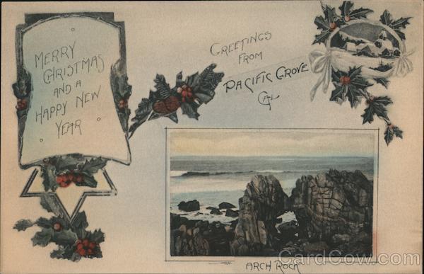 Merry Christmas and a Happy New Year - Greetings from Pacific Grove, Ca. California