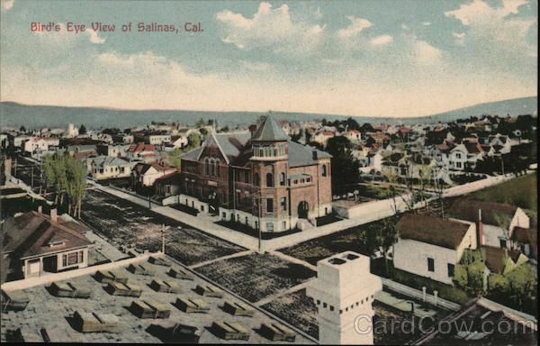 Bird's Eye View Salinas California