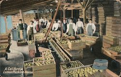 Stock #754732 Thumbnail