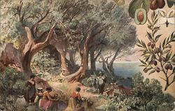 Gathering Olives, Figs and Laurel Postcard