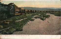 A Logging Train Hauling a California Big Tree to the Mill Postcard