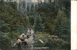 Log Carrying in California Postcard