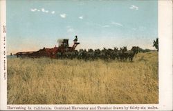 Harvesting in California Postcard