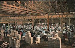 Packing Figs Postcard