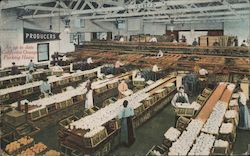 An Up to Date California Orange Packing House Postcard