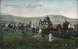 Beautiful California - One Acre of Watermelons (On a Road of a Thousand Wonders.) Postcard