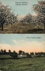 Cabazon Orchard, Cabazon Rancho Western Realty & Investment Co. Adv. Postcard