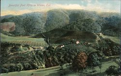 Beautiful Foot Hills Postcard