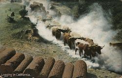 Stock #754822 Thumbnail